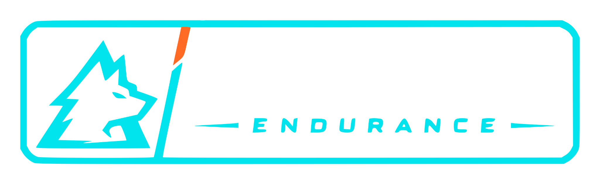 Overdrive Endurance